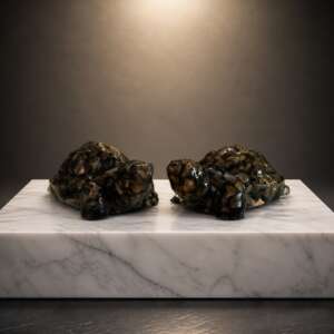 Vastu Pyrite Turtle (Kachhua)
